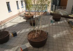 AB DOAS_átrium (2)